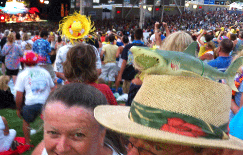 A man with a shark on his head