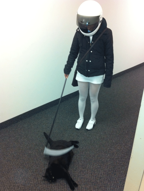 Sexy Stig meets Basement Cat