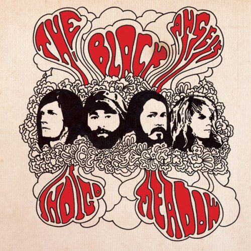 Black Angels' Indigo Meadow