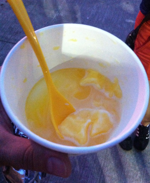 Orange Sorbet. CNE 2014