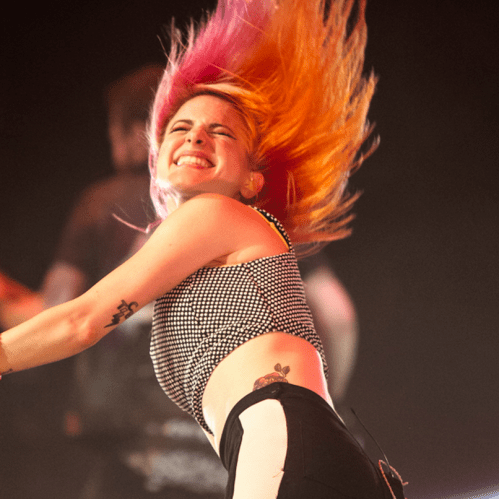 To bang or not to bang