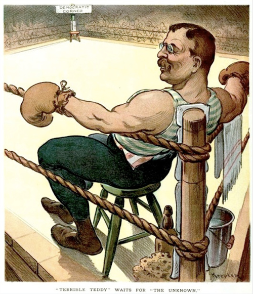 Teddy Roosevelt in a 1904 Election Puck Cartoon.