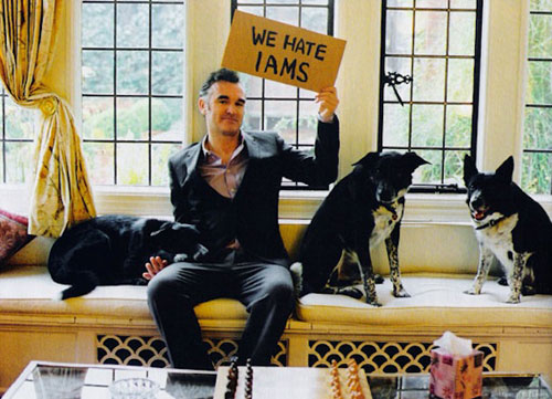 Morrissey with dogs