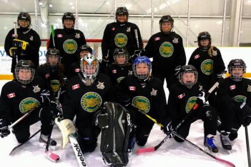 Monster Truck-approved Stoney Creek Sabres hockey club