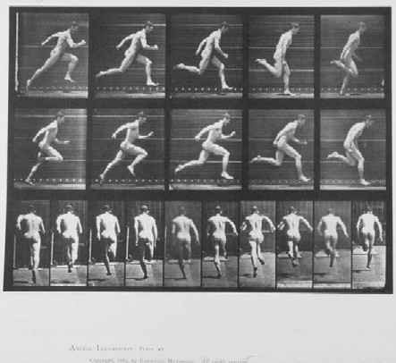 Muybridge_runner