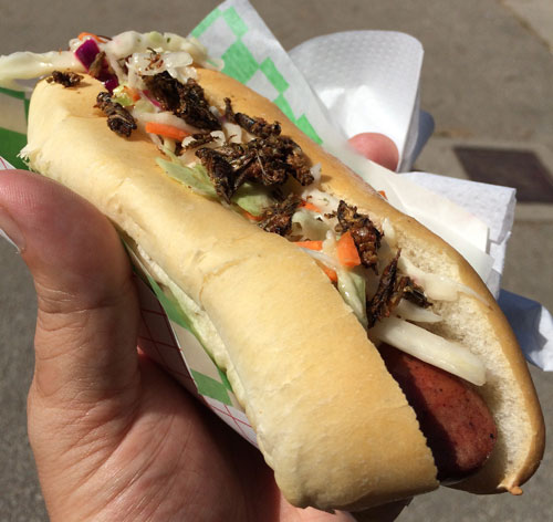 Bug Bistro Bug Dog. An all-beef frank blended with cricket protein and covered in Red Hot, lime slaw and mustard-roasted crickets. Before I started I picked off the roasted crickets that were the most "leggy." I'd heard that the legs got caught in your teeth and that was the level of gross I wasn't prepared to deal with. The hot dog itself was a bit greasy, but I couldn't tell whether that was the result of reckless prep or the dog being greasy. And with the sly trick of putting crunchy coleslaw on the dog along with the roasted crickets it completely disguises any textural creep outs you might get from eating bugs. Basically, the hot dog tasted like a hot dog. And if you gave it to someone at a barbecue without it being covered in roasted crickets they'd probably have no idea they were eating a part-beef, part-bug protein wiener. 7/10